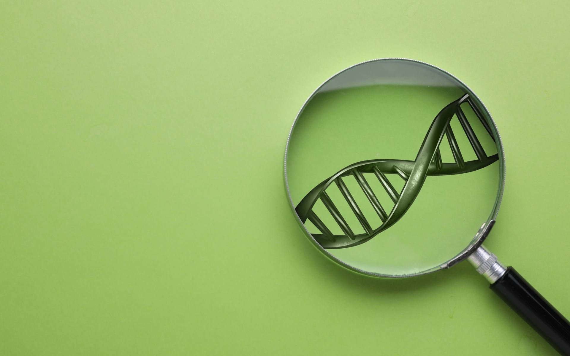What Is Genetic Screening — And What Can It Tell You About Your Child?