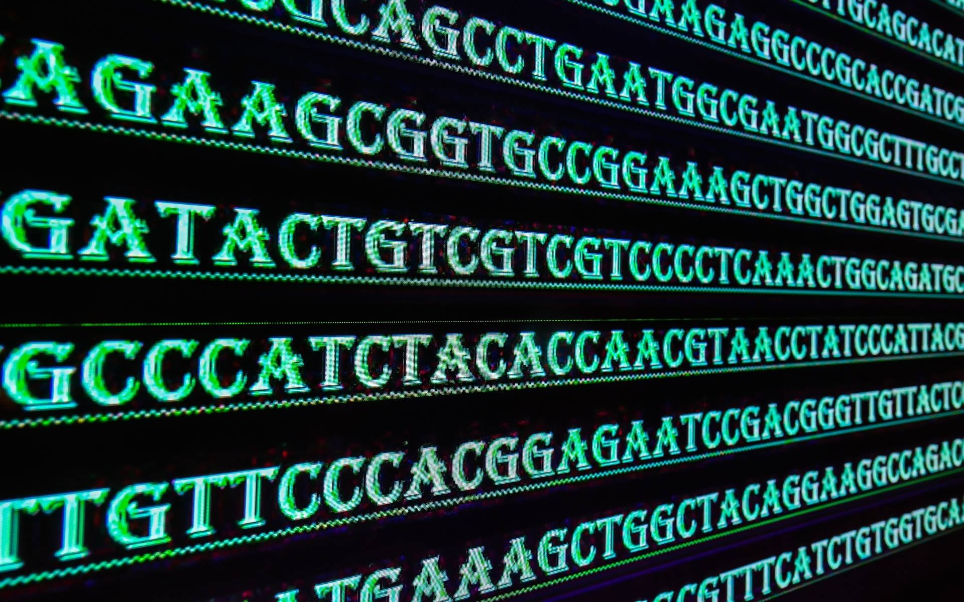 Whole Exome Sequencing vs. Whole Genome Sequencing: What's the Difference—and Why It Matters